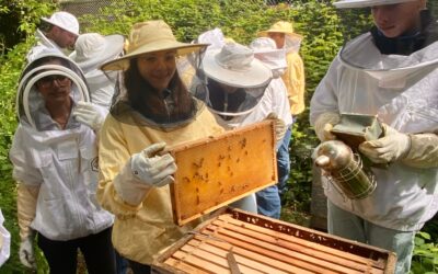 MINT-EC-Camp „Die spannende Welt der Insekten“ – 9. Klässler erzählen begeistert 