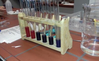 Tag der Naturwissenschaften für 4. Klässler